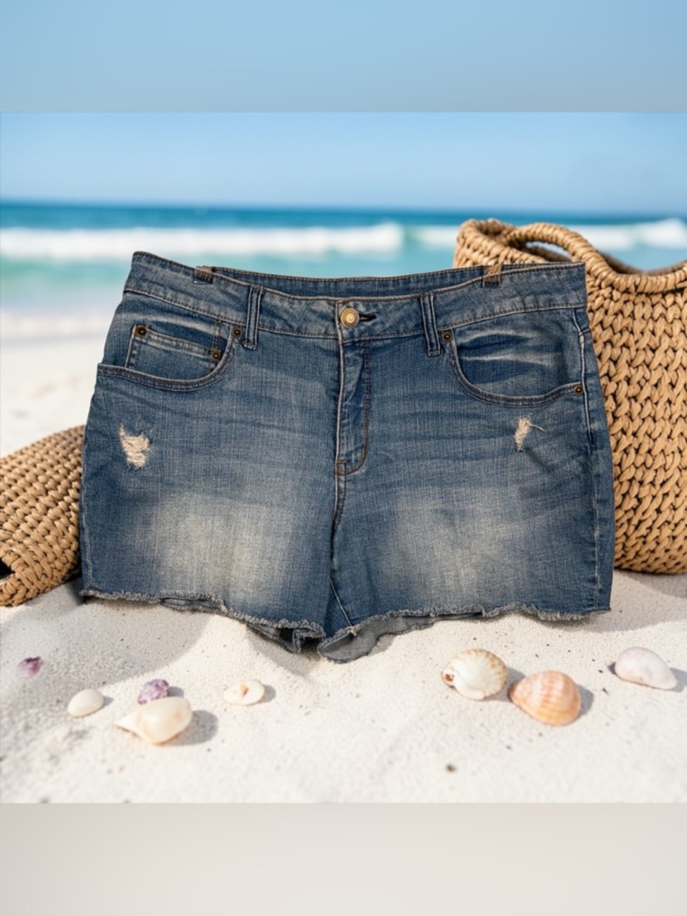 Time and Tru denim shorts